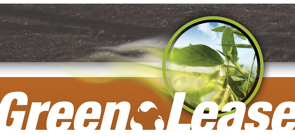 King Kreative – Cropland Case Study