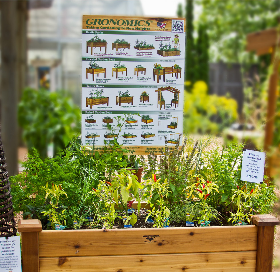 King Kreative – Gronomics<sup>®</sup> Case Study